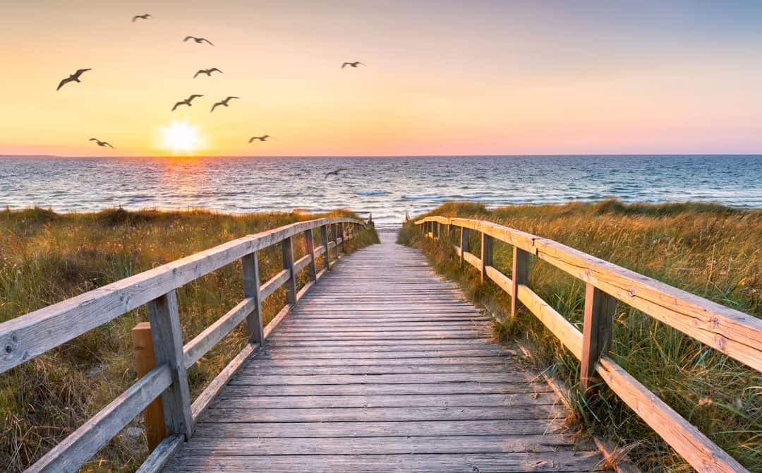 Surrender, Surrender, Surrender