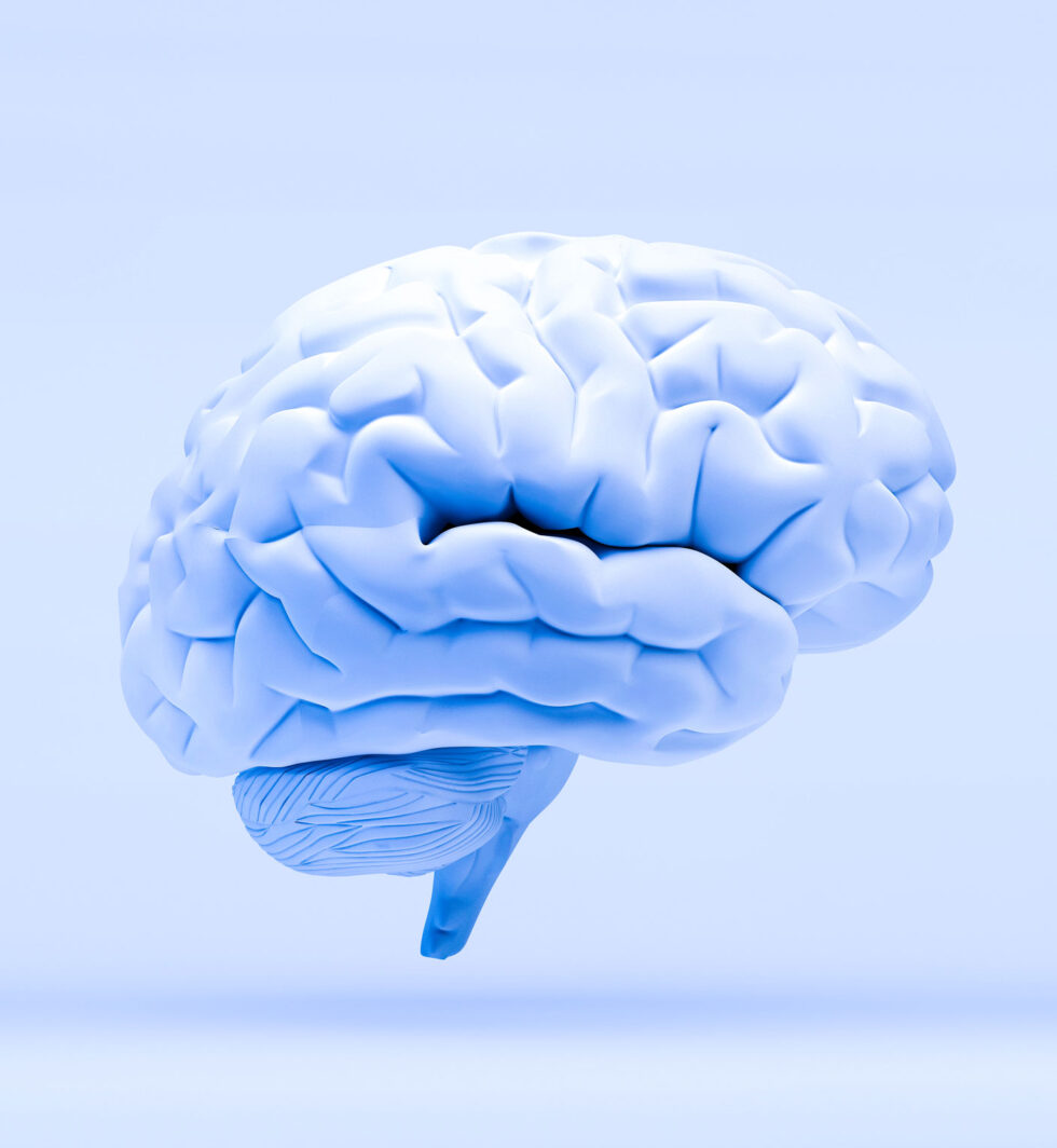 Meth Addiction Treatment Hanley Center West Palm Beach FL