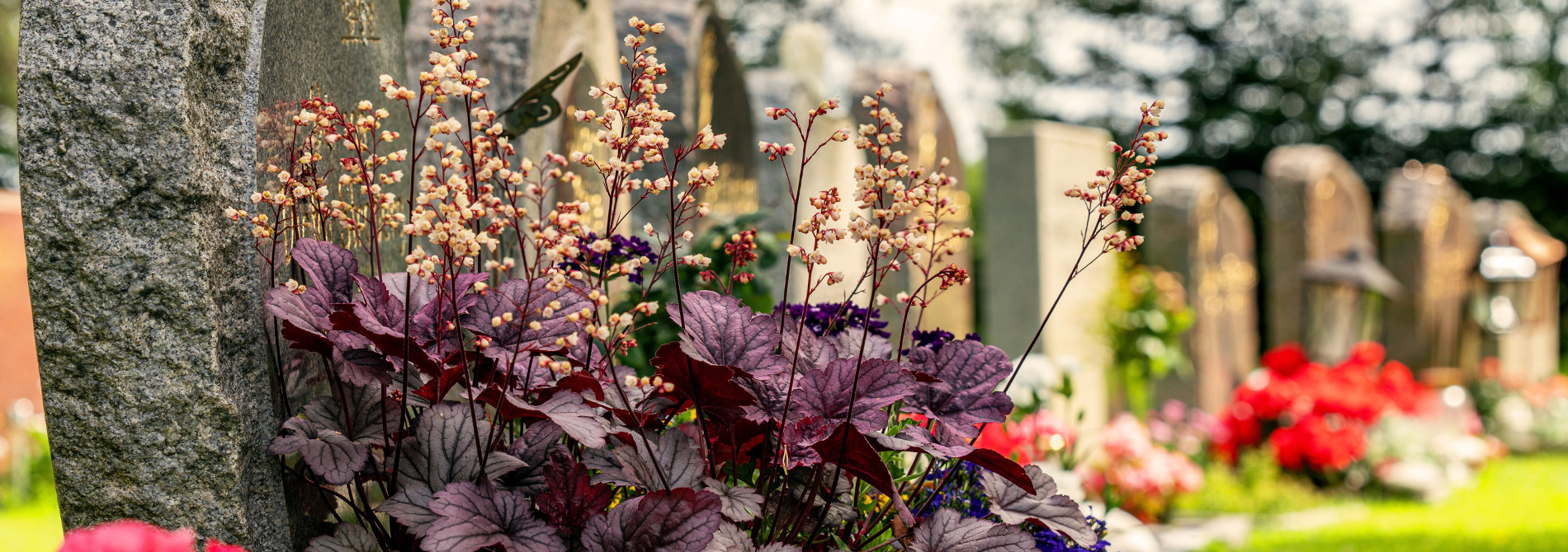 row of graves with flowers on them