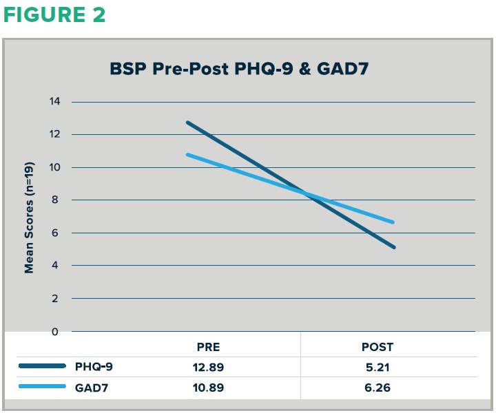 BSP score compared to PHQ-9 and GAD-7 scores
