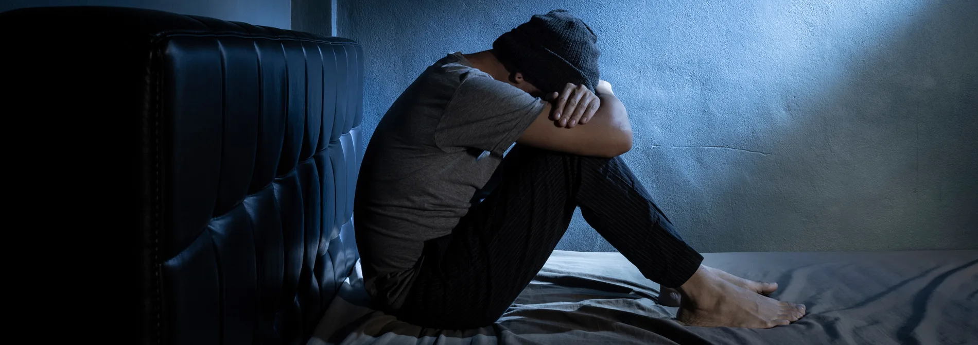 What Is Medetomidine? Understanding the Emerging “Rhino Tranq” Threat