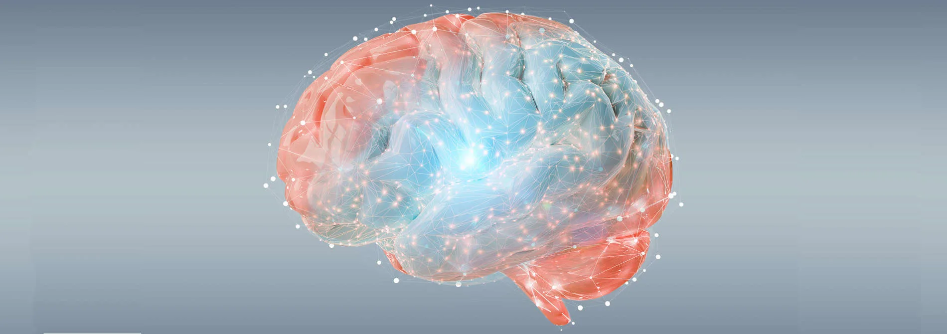 image of a brain